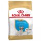 Royal Canin Francia Bulldog kölyök kutya száraz táp 1 kg