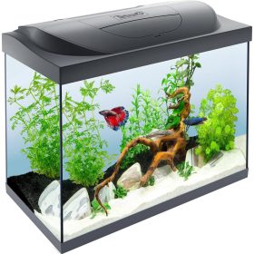 Tetra Starter Line 80 akvárium szett 80 liter