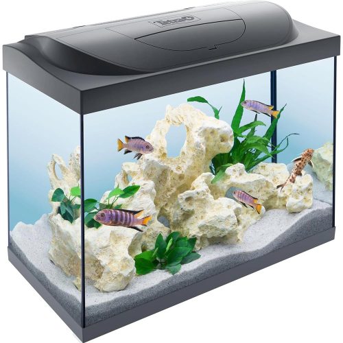 Tetra Starter Line 80 akvárium szett 80 liter