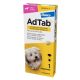 AdTab rágótabletta 2,5-5,5kg kutyáknak