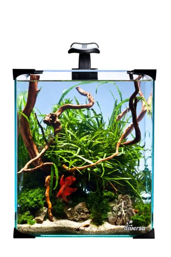 Diversa Nano LED 30 literes akvárium szett