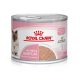 Royal Canin Mother&BabyCat Konzerv 195g