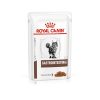 Royal Canin Gastrointestinal wet 85g
